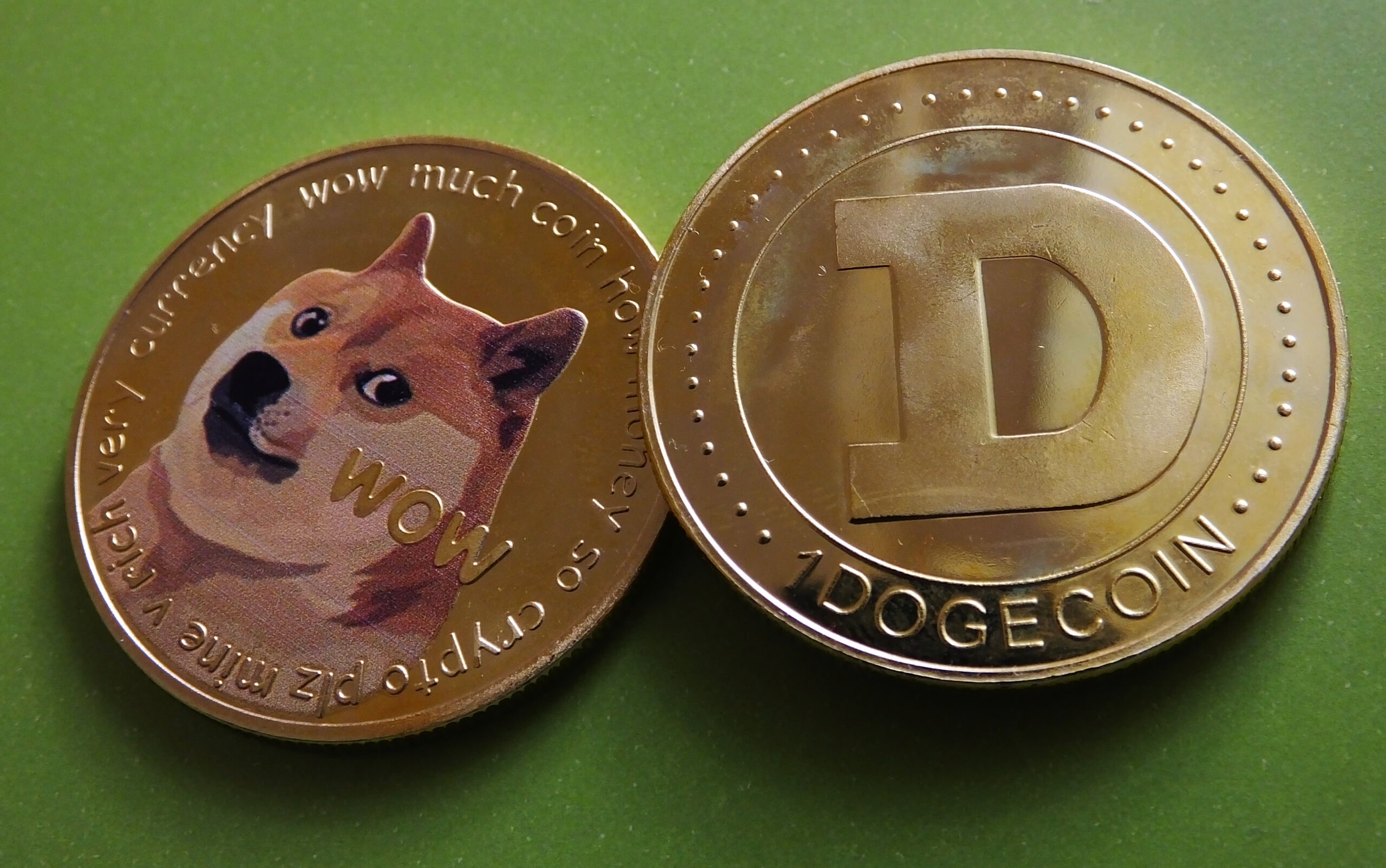 dogecoin token logo