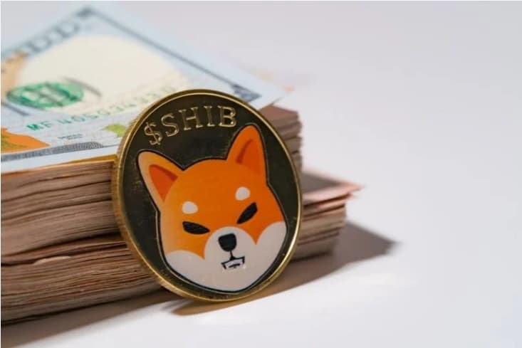 shiba coin crypto