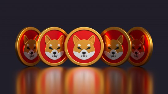 shiba coin crypto